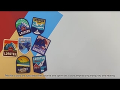 Cute Mr Wolf 5 Color Embroidered Custom Patch Twill Fabric With Embroidery Border