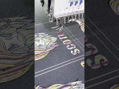 Embroidery Iron On Bag Patches Washable PMS Colors Customizable