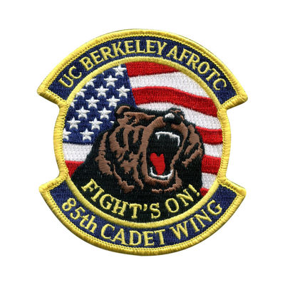 Self Adhesive Iron On Embroidered Patches Custom Security Uniform Patches