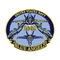 Air Force Military Embroidered Patches With Sew On Backing