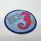 Round Twill Woven Clothing Patch 12C Pandone Colors Iron On Patches For Clothes